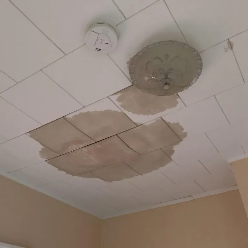 Ceiling Water Damage Repair in Garrett, WA
