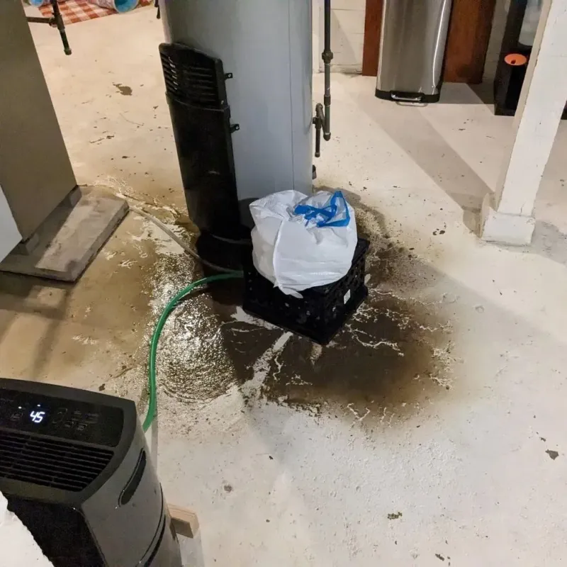Sewage Backup Cleanup Service in Garrett, WA